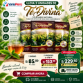Pack Té Divina x3 – 10% OFF